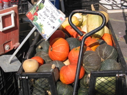 Squashes at the Greenmarket in early autumn.