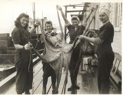 Women_octopus_FWC