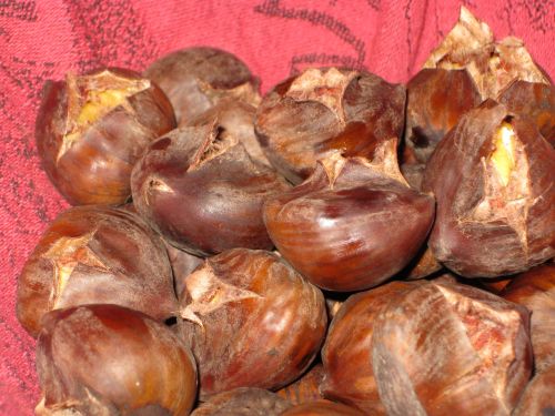 chestnuttts