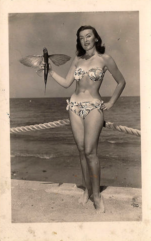 Woman in Bikini Holding A Flying Fish 1950's Pin Up RPPC  eBay - Google Chrome_2013-04-20_00-54-30