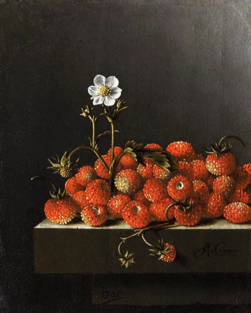 CoorteStrawberries1705TheHagueMhuisW