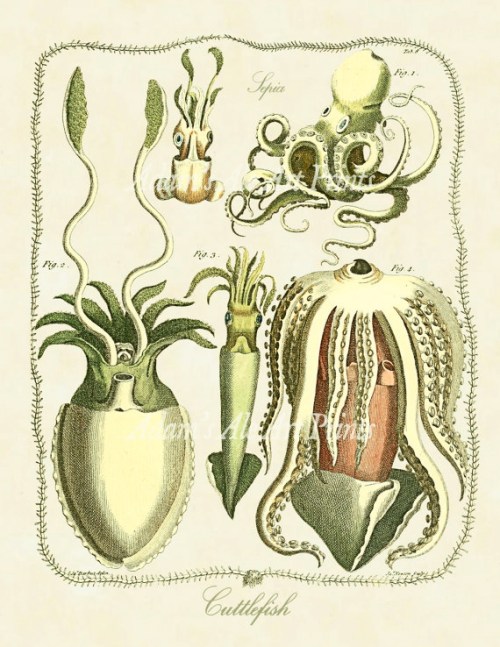 il_570xN.359116500_mcwq