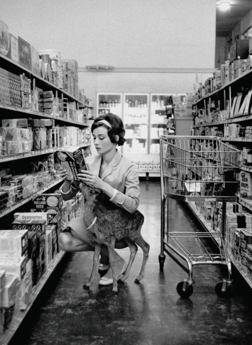 aubrey-hepburn-shopping-with-pet-deer-1959.jpg