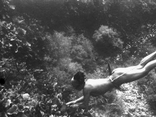 MFV-S-JBN077-0017-FBWoman-Pearl-Fisher-from-the-Island-of-Hekura-Japan-Posters