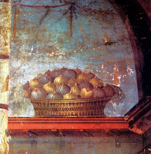 oplontis-fig-basket-villa-poppaea1.jpg