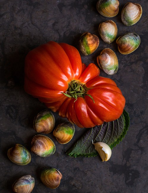 still-life-with-tomato-and-clams-alan-shapiro.jpg