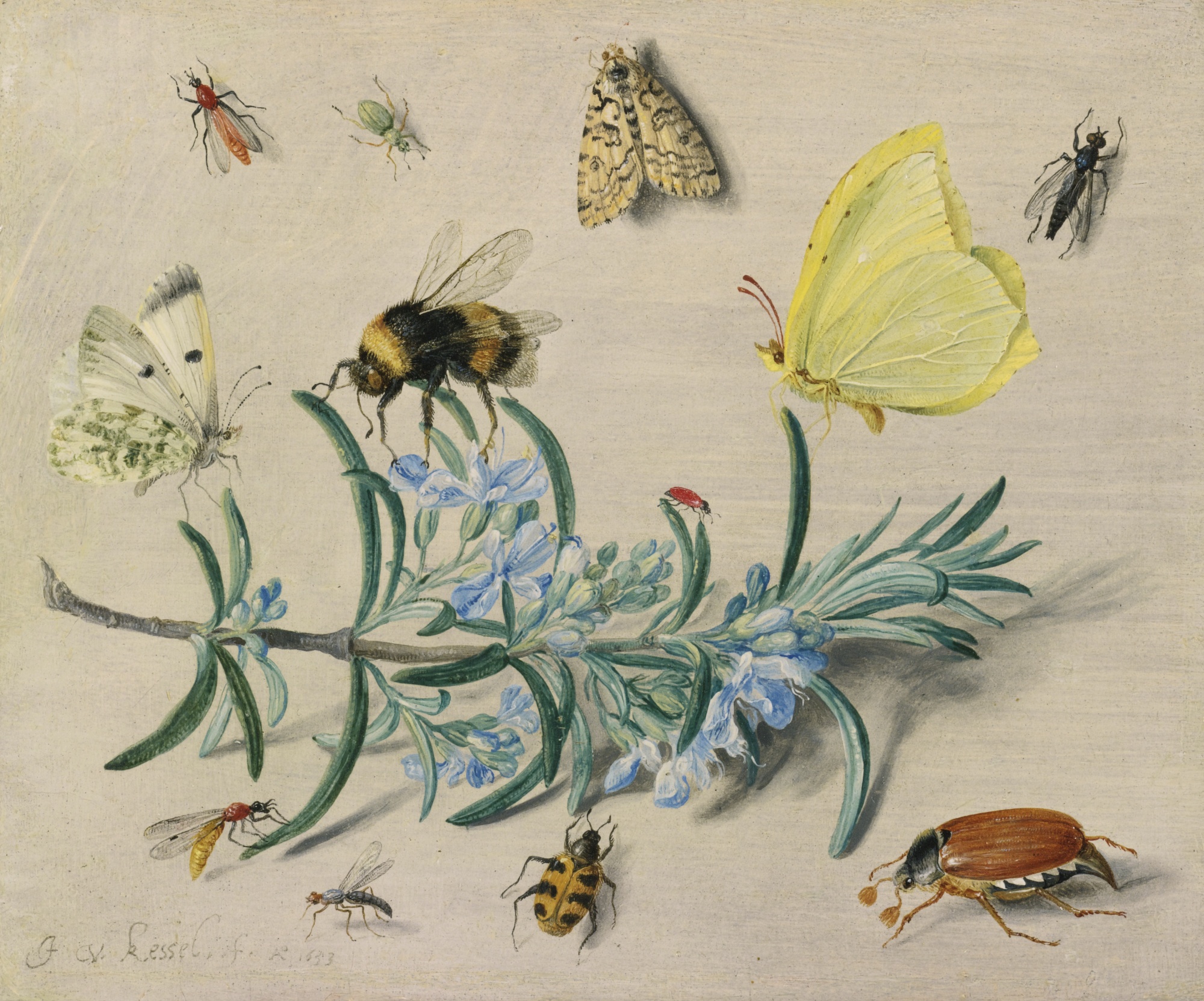 Jan_van_Kessel_(I)_-_A_still_life_study_of_insects_on_a_sprig_of_rosemary_with_butterflies,_a_bumble_bee,_beetles_and_other_insects